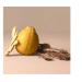Being Frenshe Hair Body & Linen Mist Body Spray with Essential Oils - Bergamot Cedar - 5 fl oz - Buy Online on GoSupps.com