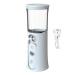 Cordless Travel Steamer - Cordless Facial Mister | 30ml Visual Water Tank Cordless Mist Sprayer Handy Nano Mist Sprayer with Colorful Light for Face Hydrating White
