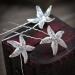 ANBALA Bride Crystal Starfish Hair Pins - Set of 18 | Beach Wedding Hair Accessories for Women and Girls - Buy Online on GoSupps.com