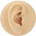 Human Right Ear Model Human Ear Model Clear Internal External Structure Soft Silicone Waterproof for Ear Learning for Suppliers - Buy Online on GoSupps.com