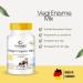 Enzyme Complex Capsules - Vegan Digestive Enzymes with Bromelain Papain Amylase Lipase & Protease - 90 Capsules | Warnke Vital Substances - German Quality - Buy Online on GoSupps.com
