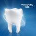 Crest Pro-Health Whitening Gel Toothpaste 4.6 oz Pack of 2 | Advanced Whitening Power 4.6oz - Buy Online on GoSupps.com