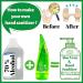 BioRLX Shave Factory 99% Purity Aloe Vera Gel with Collagen & Hyarulonic Acid 80ml - Face, Body & Hair Care - Pack of 1 - Buy Online on GoSupps.com
