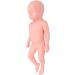 High Simulation Plastic Baby Doll for Teaching withFeatures Easy to Clean Suitable for Colleges and Clinical Training - Buy Online on GoSupps.com