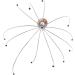 Parmi Scalp Head Massager | Ultimate Relaxation & Scalp Health | Worldwide Shipping - Buy Online on GoSupps.com