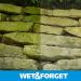 Buy Wet & Forget Moss & Mold Remover - Multi-Surface Outdoor Cleaner Concentrate (64 oz 2 Pack) - Effective Algae Stain Solution | Fast International Shipping - Buy Online on GoSupps.com