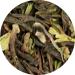  Lerbs & Hagedorn Nepal SFTGFOP1 Chiyabari Tara 2 kg - Buy Online on GoSupps.com