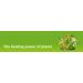 Sinupret Forte - Sinus & Immune Support 20 Tablets by Bionorica - Buy Online on GoSupps.com