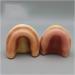 Fhuili Dental Implant Practice Model - Gum-Free Distental Model for Advanced Training - Buy Online on GoSupps.com
