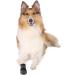 TRIXIE Water-Repellent Dog Shoes | XL Paw Protection Walker Care - 2 Pcs Black - Buy Online on GoSupps.com