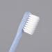 Travel-Friendly Organic Toothbrush Set - 6 Boxes of 8 Pieces | Portable Couple's Oral Care Essentials - Buy Online on GoSupps.com
