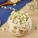 100% Jasmine 30G/1.05oz Feuilles fra ches sans OGM Fleurs s ch es Naturelles Herbes savonneuses sirops Boissons Boulangerie beaut DIY sachets et pices fra ches - Buy Online on GoSupps.com