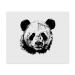 2 x 'Panda' Microfiber Lens/Eyeglass Cleaning Cloths (LC00021347)