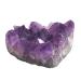 Gift Natural Crystal Stone Amethyst Cluster Original Cluster for Home Decoration ZJGIDTEM (Size : 100-150g)