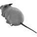Mouse Cat Toy Wireless Remote Control Funny Rat Toy with 2 Modes Cat Dog Fake Mice Toy for Kids Children Adults(Grey/Brown)(Gray) - Buy Online on GoSupps.com