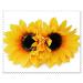 MauSong 2PCS 4 Yellow Sunflower Hair Alligator Hairpins - Stylish Hair Clips for Women, Girls - Perfect for Party, Beach, Wedding - Buy Online on GoSupps.com