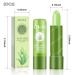 6Pcs Aloe Vera Tinted Lip Balms PH Lip Color Changing Lipstick Set - Long Lasting Korean Mood Lip Tint Gloss for Women & Girls - Buy Online on GoSupps.com