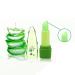 Hanyia Aloe Vera Jelly Lipstick - Color Changing Moisturizing Balm Waterproof Lip Gloss | Shop Internationally! - Buy Online on GoSupps.com