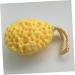 Housoutil 6 Pcs Kids Bath Sponge Set | Gentle Body Scrub for Delicate Skin | Honeycomb Cotton Bath Ball & Flower Tools for Children - Buy Online on GoSupps.com