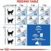 Royal Canin Indoor Complete Dry Adult Cat Food 4 x 400g - Buy Online on GoSupps.com