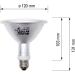 Buy Solar Raptor HID UV-Lamp 150W - Metal Halide Heat & UV Lamp for Terrariums | International Shipping - Buy Online on GoSupps.com