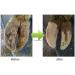 MZSHNE Professional Hoof Repair Tool - High Efficiency 6-Tooth Trim Disc for Cattle Goats & Horses - Essential Accessories - Buy Online on GoSupps.com
