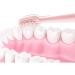 Zumaha Loose Pink Children's Toothbrushes - 2-Pack Silicone Hand Toothbrushes with Suction Foot for Toddlers 1-3 Years - Buy Online on GoSupps.com