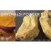  QURA QURA Laboratories Powder Daruhaldi 100 g - Buy Online on GoSupps.com