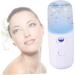 Beavorty 3pcs Steamer for Face Nano Steamer Skin Care Facial Steamer Hydrating Instrument Portable mediumx3pcs Whitex3pcs - Buy Online on GoSupps.com