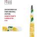 Nippes CITRUS cosmetic tweezers in lemon | bevelled tip | stainless steel | colourful lacquer | 9 cm long | fine tweezers | tear off eyebrow tweezers - Buy Online on GoSupps.com