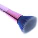 Beifenl 10 Pieces of Makeup Brush Eye Shadow Blush Foundation Makeup Brush Professional Face Makeup Tool Blue Pink - Buy Online on GoSupps.com