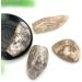 Beautiful 1 Piece Natural Cherry Blossom Agate Quartz Crystal Free Stone Crystal Stone Mineral Specimen (Color : 250-300 Grams) - Buy Online on GoSupps.com