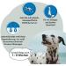 Gray Original 100% Pure Sea Algae Flour - Enhance Fur Pigmentation & Shine for Dogs & Cats (800g Pack) - Buy Online on GoSupps.com