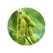 Holyflavours Organic Peeled Soybeans | 100g Natural Superfood | International Shipping Available - Buy Online on GoSupps.com