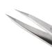 Tweezerman Point Tweezer - Stainless Steel | Precision Eyebrow Tweezers - Buy Online on GoSupps.com
