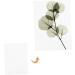 FRCOLOR Dried Flower Embossed Paper Preservation Kit for Oily Skin - 12 pcs Book Press Blotting Paper Set with Herbarium Perforation - White (Pack of 2) - Buy Online on GoSupps.com