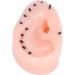 Buhb Blackhead Toys & Ear Tools - Realistic Stress Relief & Anxiety Reduction Tweezers | Reusable Fun for All Ages - Buy Online on GoSupps.com