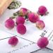 100% Peony Ball 50g/1.76oz frais feuilles en vrac non - OGM fleurs s ch es naturelles herbes savonneuses sirops boissons boulangerie beaut DIY sachets et pices fra ches - Buy Online on GoSupps.com