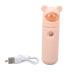 Facial Portable Nano Made of ABS Material for Outdoor Hiking (Bear)