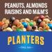 Planters Peanuts Trail Mix Variety Pack - 24 Individual 2 oz Bags - Cajun, Chocolate, Tropical Flavors with By The Cup Mints - Buy Online on GoSupps.com