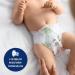 HiPP Babysanft Mini 2 Diapers - Pack of 3 (93 Pieces) - Best for Sensitive Skin & International Shipping - Buy Online on GoSupps.com
