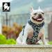 Winhyepet Truelove No-Pull Dog Harness - Breathable Cotton Reflective Adjustable for Small & Medium Dogs & Cats - Tlh5655 M Saxony Blue - Buy Online on GoSupps.com
