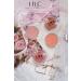LiLo Long-Lasting Compact Powder Blusher - 503 Tea Rose Shade for All Skin Types | Shape, Contour & Highlight for a Matte Finish - Buy Online on GoSupps.com