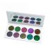 YNZON Chameleon Eyeshadow 10 Color Palette Intense Color Shifting Eye Shadows Eye Makeup with Highly Pigmented Metallic Shimmer Multi-Reflective Finishes Long-Lasting Glitter