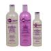 ApHogee Shampoo for Damaged Hair 16 Fl Oz ProVitamin Leave-In Conditioner 16 Fl Oz Keratin 2 Minute Reconstructor 8 Fl Oz Set