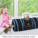SunGrow Large Cat Tunnel Toy with Play Ball - Collapsible Maze Tube for Indoor Cats, Kittens, Rabbits, and Dogs - Buy Online on GoSupps.com
