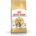 Royal Canin Bengal Adult Dry Cat Food 3 x 400g - Buy Online on GoSupps.com