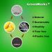 GreenWorks 100 Count Compostable Forks - 7 Heavyweight Biodegradable Disposable Cutlery - Buy Online on GoSupps.com