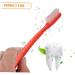 10 Piece Travel Toothbrush Set - Practical Manual Brushes for All Ages - Stiff Plastic & Elderberry Design - Buy Online on GoSupps.com