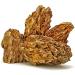 Buy OrinocoDeco Dragon Stone (Ohko Stone) - 2 kg | Premium Aquarium Decor - International Shipping Available - Buy Online on GoSupps.com